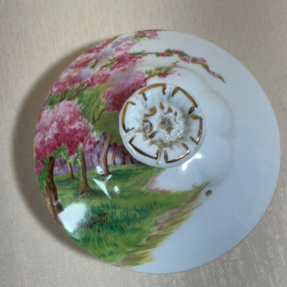 Royal Albert Blossom Time Teapot with Green and Pink Accents - Picture 11 of 16